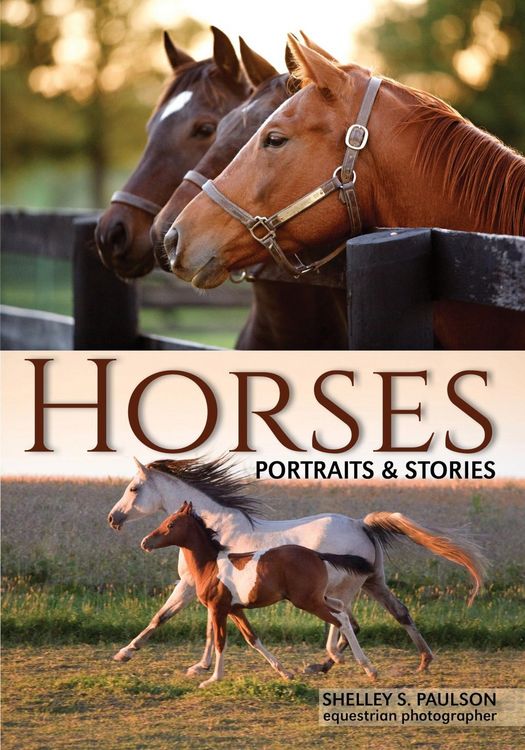 Produktbild: Horses