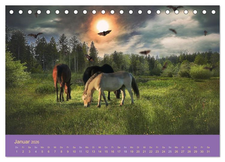 Produktbild: Von der Magie der Pferde (Tischkalender 2026 DIN A5 quer), CALVENDO Monatskalender