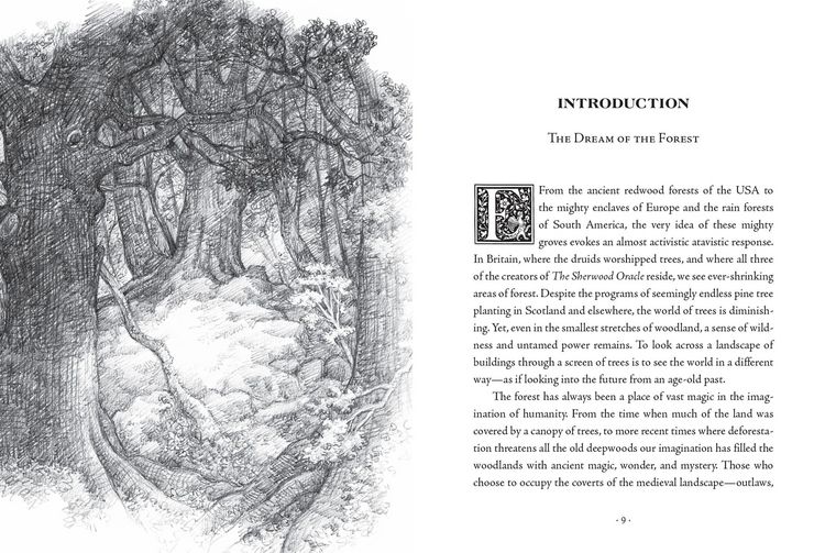 Produktbild: The Sherwood Oracle