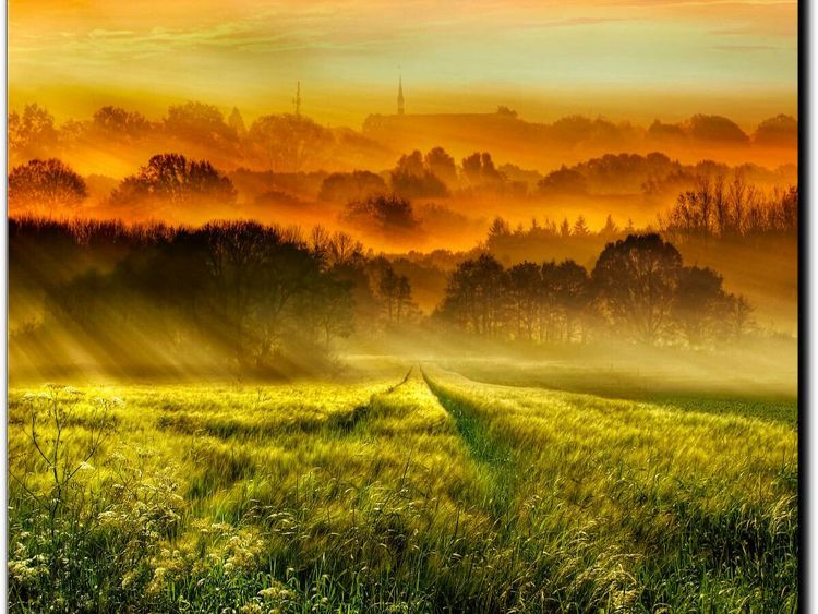 Produktbild: CALVENDO Puzzle &Uuml;ber dem Kornfeld geht die Sonne auf | 1000 Teile Lege-Gr&ouml;&szlig;e 64x48cm Foto-Puzzle f&uuml;r gl&uuml;ckliche Stunden