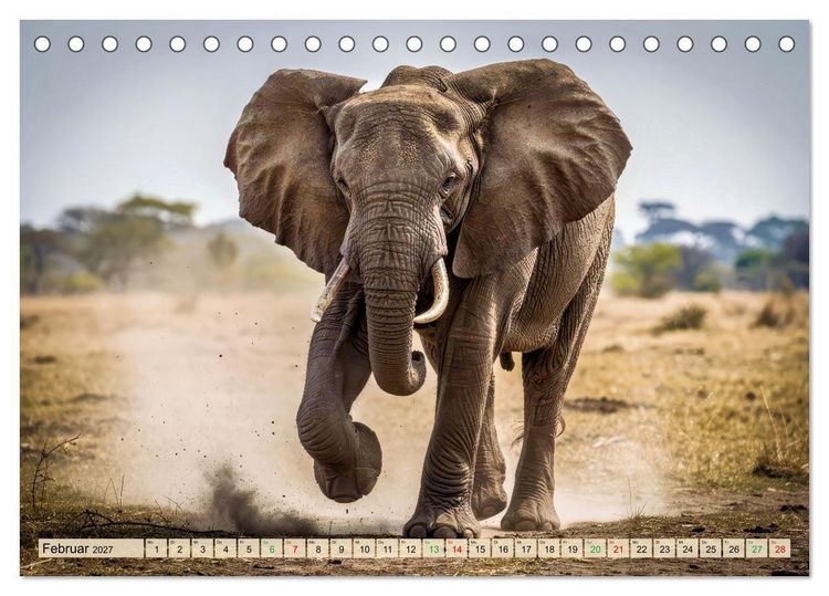 Produktbild: Gro&szlig;e und kleine Elefanten (Tischkalender 2027 DIN A5 quer), CALVENDO Monatskalender