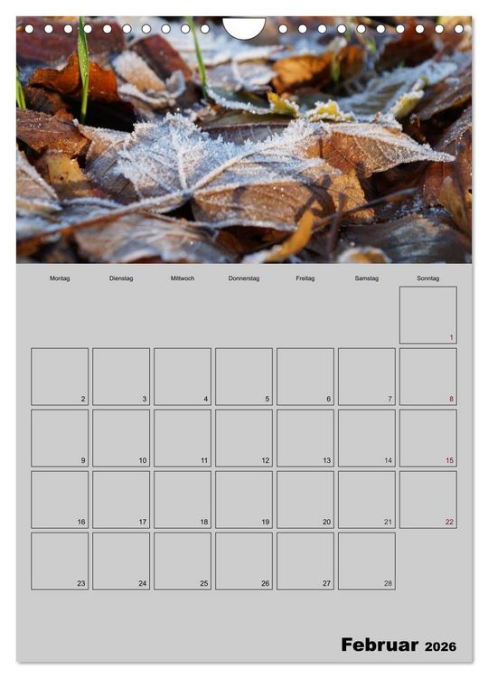 Produktbild: Zeitgewinn (Mein Terminplaner) (Wandkalender 2026 DIN A4 hoch), CALVENDO Monatskalender