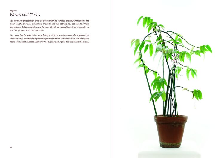 Produktbild: Urban Plants