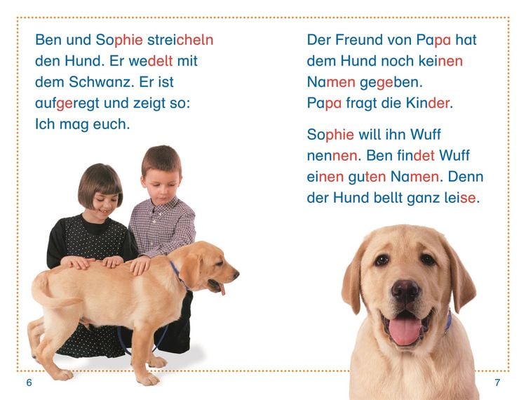 Produktbild: SUPERLESER! Willkommen, kleiner Hund!