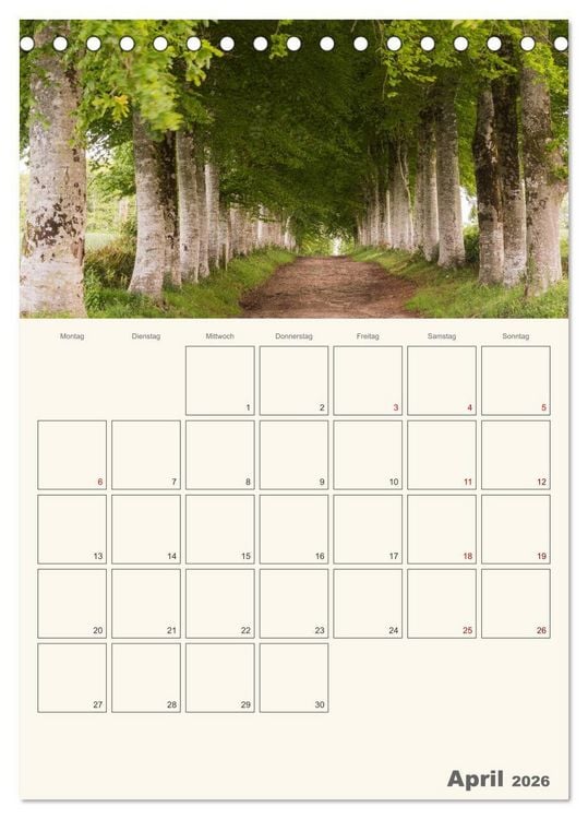Produktbild: Sommertage in der Bretagne (Tischkalender 2026 DIN A5 hoch), CALVENDO Monatskalender