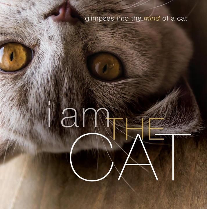 Produktbild: I Am the Cat