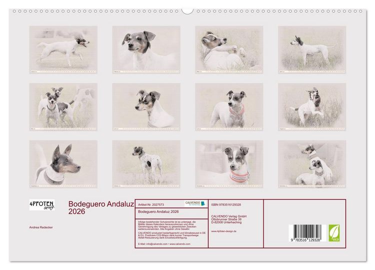 Produktbild: Bodeguero Andaluz 2026 (hochwertiger Premium Wandkalender 2026 DIN A2 quer), Kunstdruck in Hochglanz