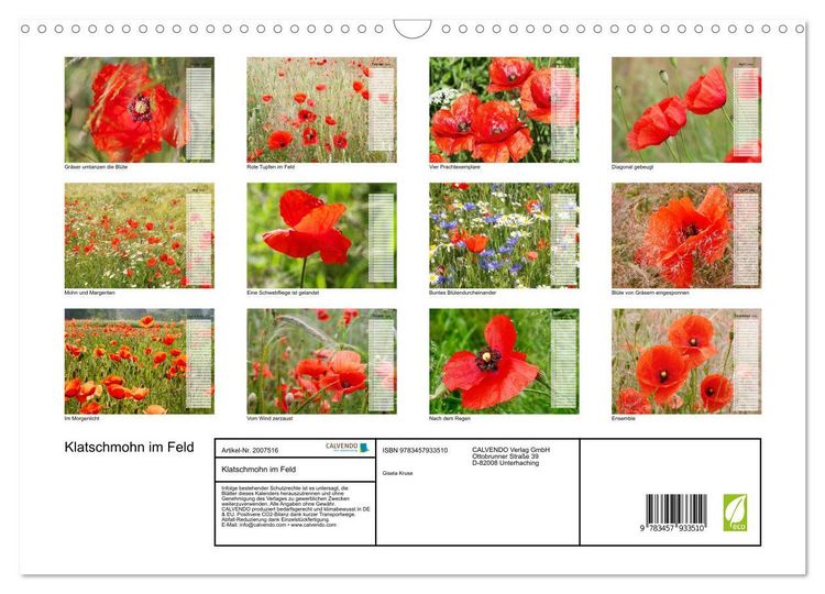 Produktbild: Klatschmohn im Feld (Wandkalender 2026 DIN A3 quer), CALVENDO Monatskalender
