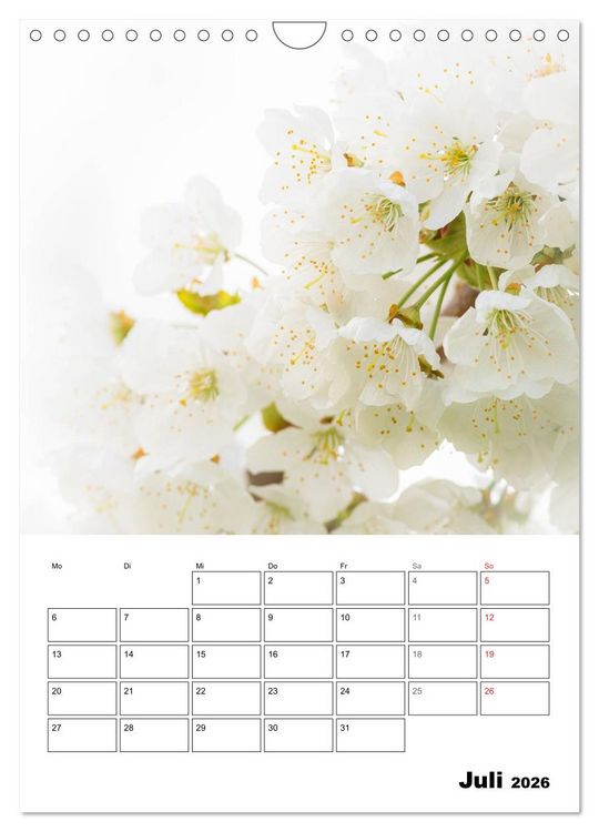 Produktbild: Farben der Natur (Wandkalender 2026 DIN A4 hoch), CALVENDO Monatskalender