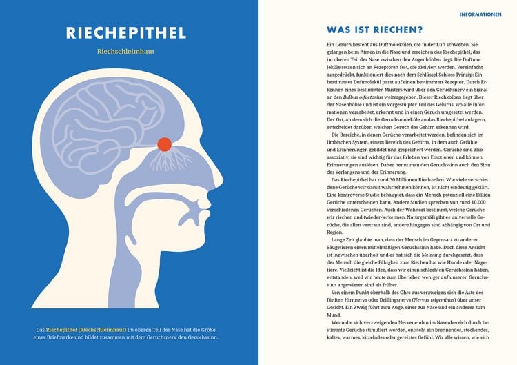 Produktbild: Erste Hilfe bei Geschmacksverlust