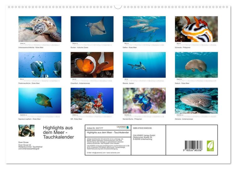 Produktbild: Highlights aus dem Meer - Tauchkalender (Wandkalender 2026 DIN A2 quer), CALVENDO Monatskalender