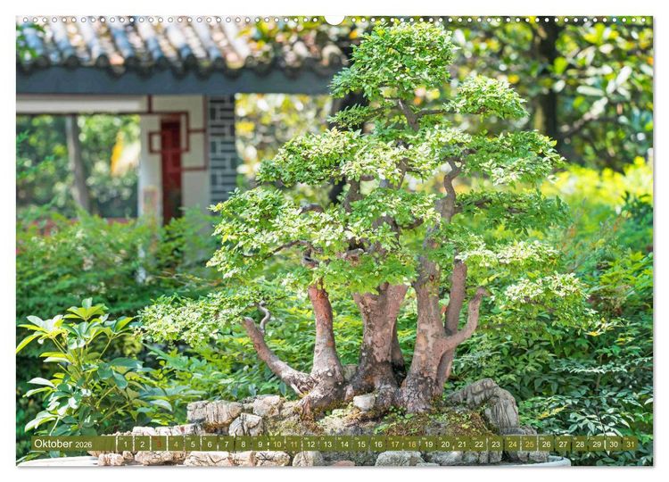 Produktbild: Gartenkunst aus Japan: Bonsai (hochwertiger Premium Wandkalender 2026 DIN A2 quer), Kunstdruck in Hochglanz