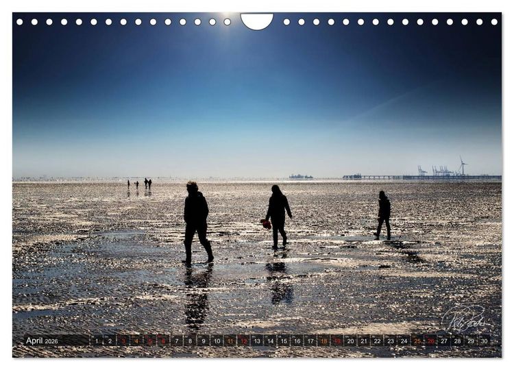 Produktbild: Friesland - Watt und Nordsee / CH-Version (Wandkalender 2026 DIN A4 quer), CALVENDO Monatskalender