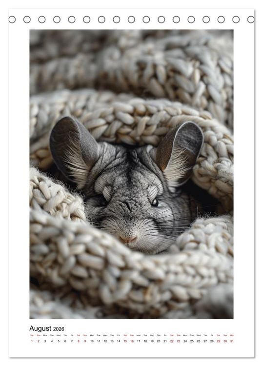 Produktbild: Chinchilla Parade (Desk Calendar 2026 DIN A5 portrait), CALVENDO 12 Month DeskCalendar