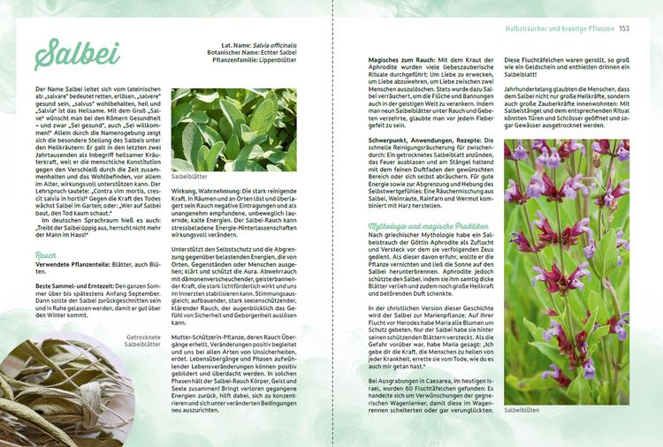 Produktbild: R&auml;uchern im Einklang mit der Natur