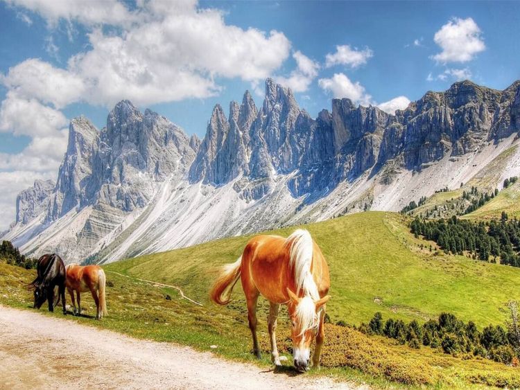 Produktbild: CALVENDO Puzzle Geisler Spitzen - Sas Rigais und Furchetta - Nordw&auml;nde - Villn&ouml;&szlig;tal - 3025 Hm | 1000 Teile Lege-Gr&ouml;&szlig;e 64x48cm Foto-Puzzle f&uuml;r gl&uuml;ckliche Stunden