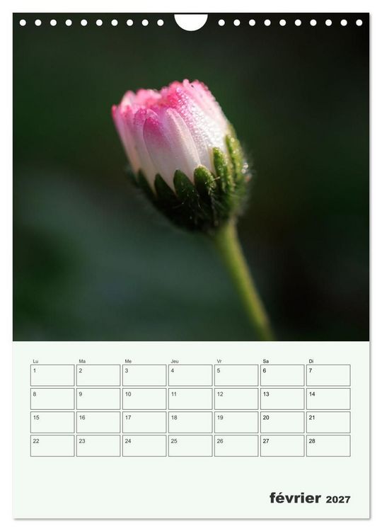 Produktbild: Fleurs en toute simplicit&eacute; - Beaut&eacute; minimaliste (Calendrier mural 2027 DIN A4 horizontal), CALVENDO calendrier mensuel