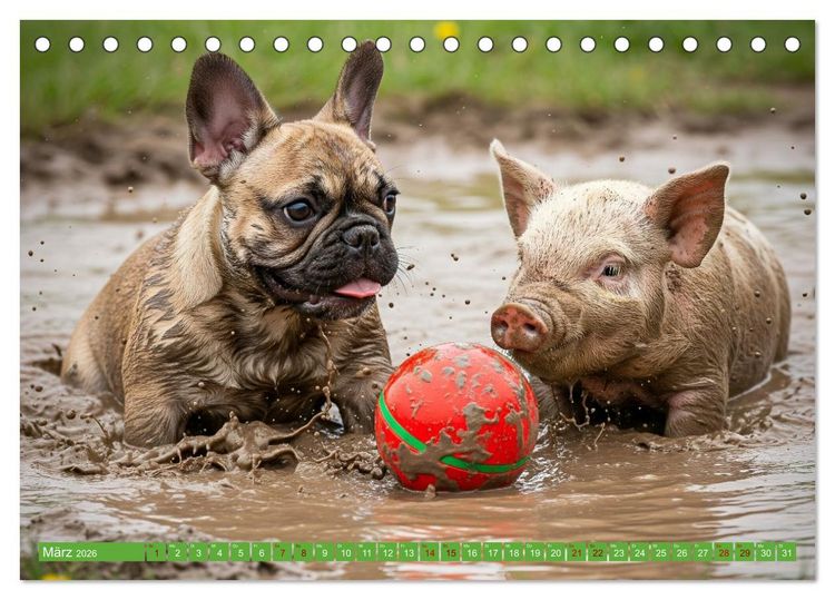 Produktbild: Muddi Buddies &ndash; Freundschaft im Matsch (Tischkalender 2026 DIN A5 quer), CALVENDO Monatskalender