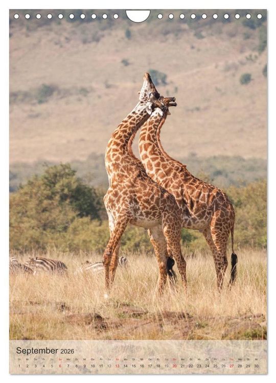 Produktbild: Emotionale Momente: Giraffen, die h&ouml;chsten Tiere der Welt. (Wandkalender 2026 DIN A4 hoch), CALVENDO Monatskalender