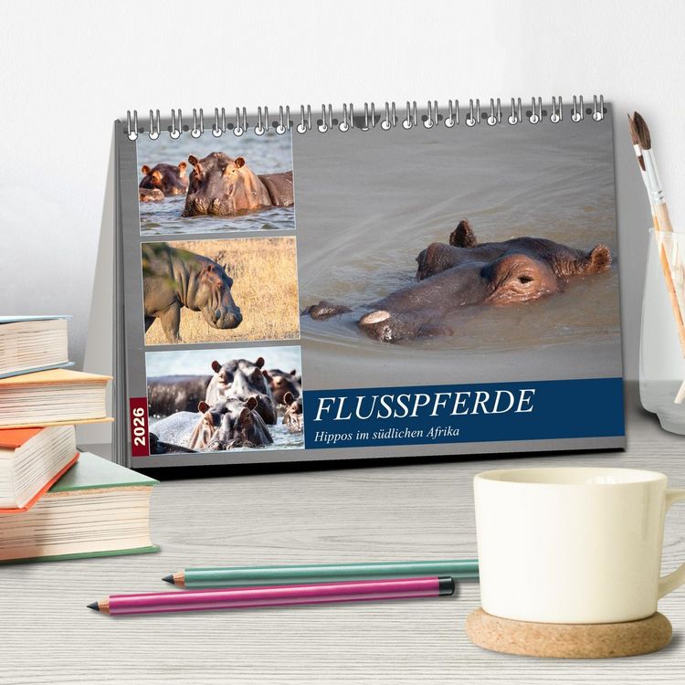 Produktbild: Hippos im s&uuml;dlichen Afrika (Tischkalender 2026 DIN A5 quer), CALVENDO Monatskalender