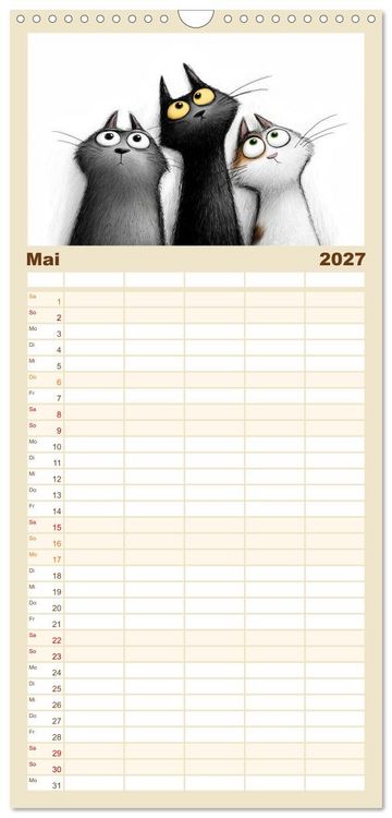 Produktbild: Familienplaner 2027 - Gute Laune Katzen mit 5 Spalten (Wandkalender, 21 x 45 cm) CALVENDO