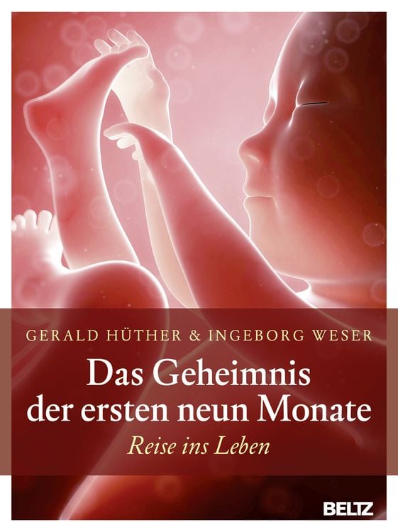 Produktbild: Das Geheimnis der ersten neun Monate