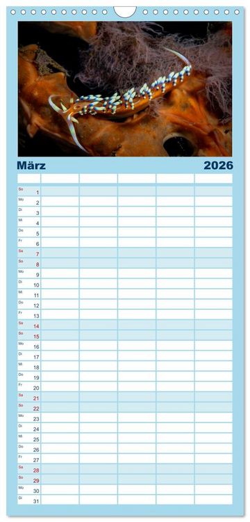 Produktbild: Familienplaner 2026 - Nudis &ndash; Die bunte Welt der Nacktschnecken mit 5 Spalten (Wandkalender, 21 x 45 cm) CALVENDO