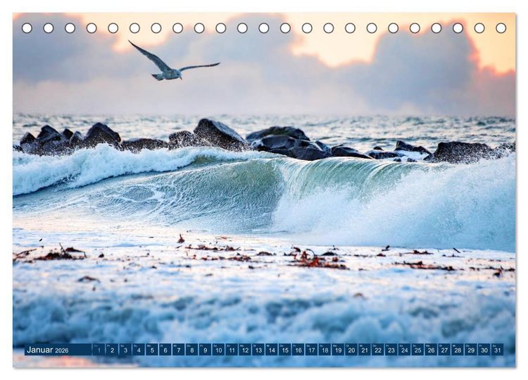 Produktbild: Helgoland - Das Leben auf der D&uuml;ne Helgolands (Tischkalender 2026 DIN A5 quer), CALVENDO Monatskalender
