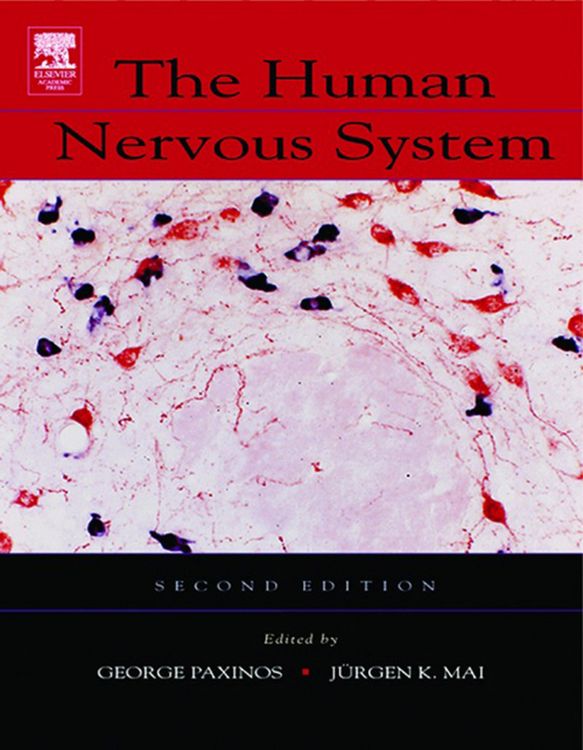 Produktbild: The Human Nervous System