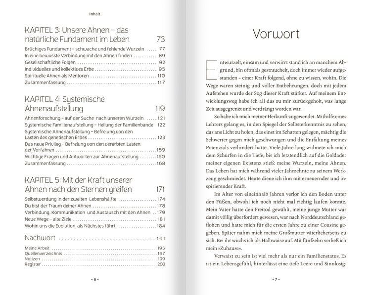 Produktbild: Schamanische Ahnenarbeit