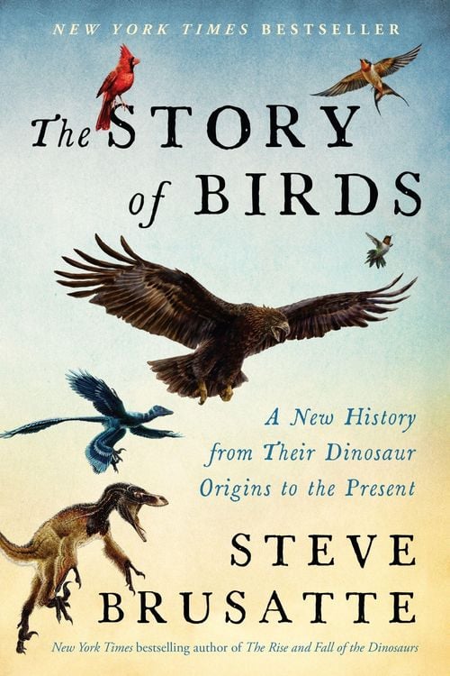 Produktbild: The Story of Birds