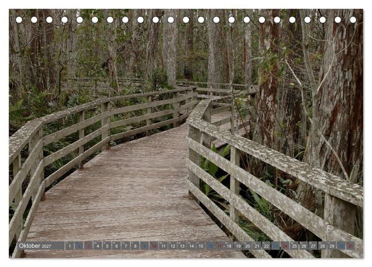 Produktbild: Sunshine State Florida Natur, Tierwelt und Nationalparks (Tischkalender 2027 DIN A5 quer), CALVENDO Monatskalender