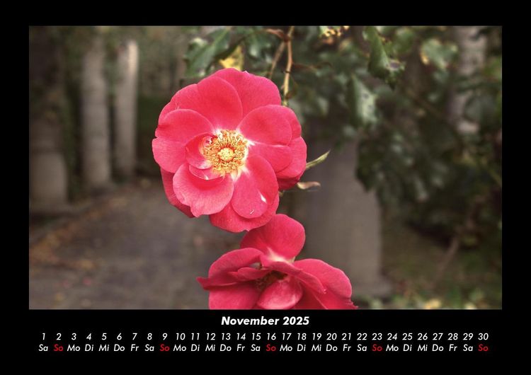 Produktbild: Blumenzauber 2025 Fotokalender DIN A3