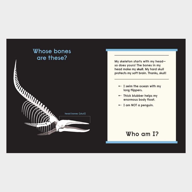 Produktbild: Whose Bones?