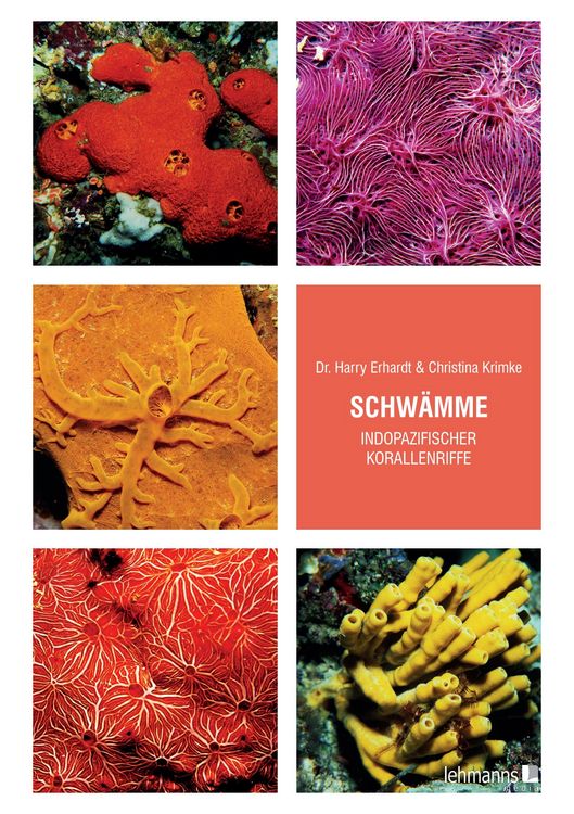 Produktbild: Schw&auml;mme indopazifischer Korallenriffe