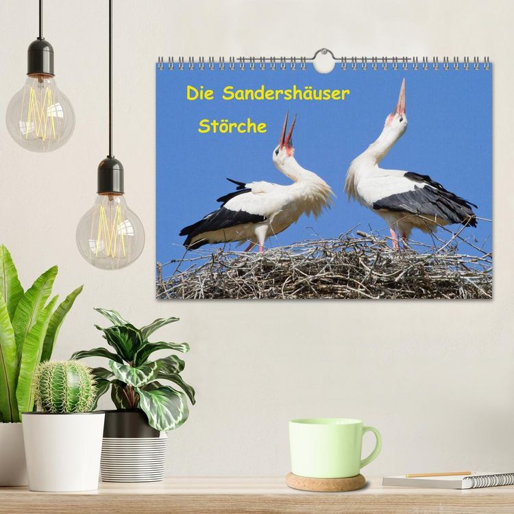 Produktbild: Die Sandersh&auml;user St&ouml;rche (Wandkalender 2026 DIN A4 quer), CALVENDO Monatskalender