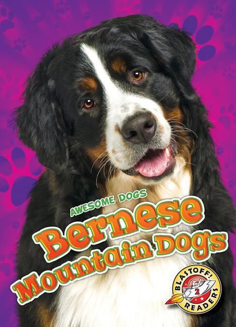 Produktbild: Bernese Mountain Dogs