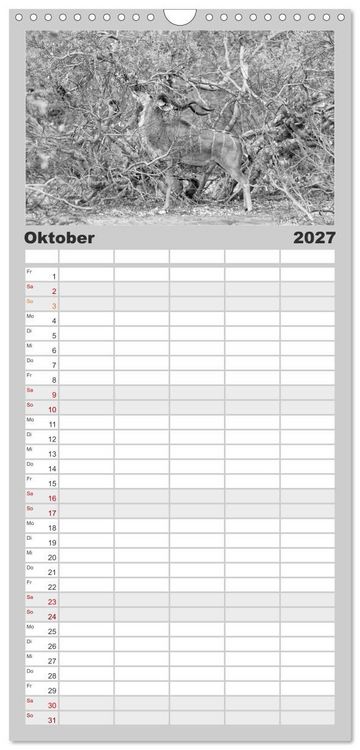 Produktbild: Familienplaner 2027 - Afrika Schwarz - Weiss mit 5 Spalten (Wandkalender, 21 x 45 cm) CALVENDO