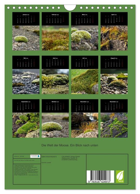 Produktbild: Die Welt der Moose. Ein Blick nach unten (Wandkalender 2026 DIN A4 hoch), CALVENDO Monatskalender