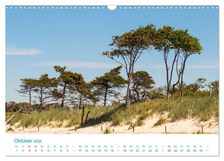 Produktbild: Der Dar&szlig; Kalender (Wandkalender 2026 DIN A3 quer), CALVENDO Monatskalender