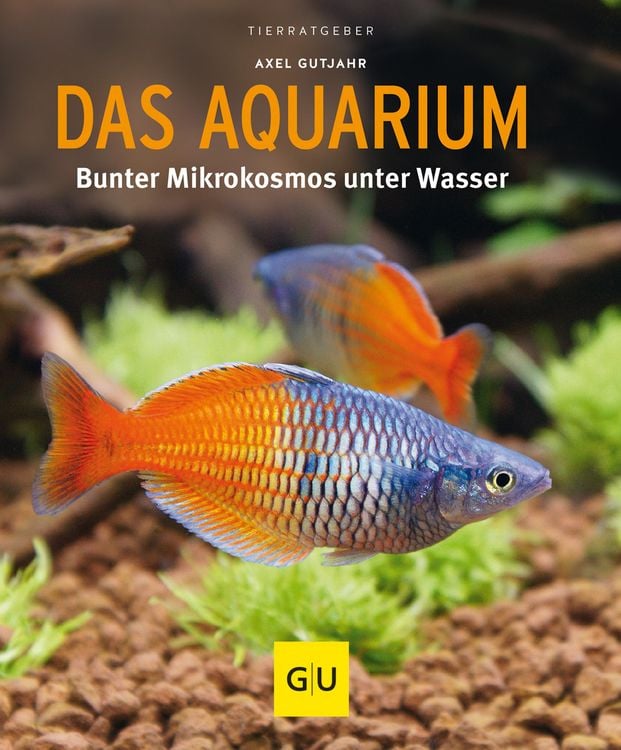 Bild vom Artikel Das Aquarium vom Autor Axel Gutjahr