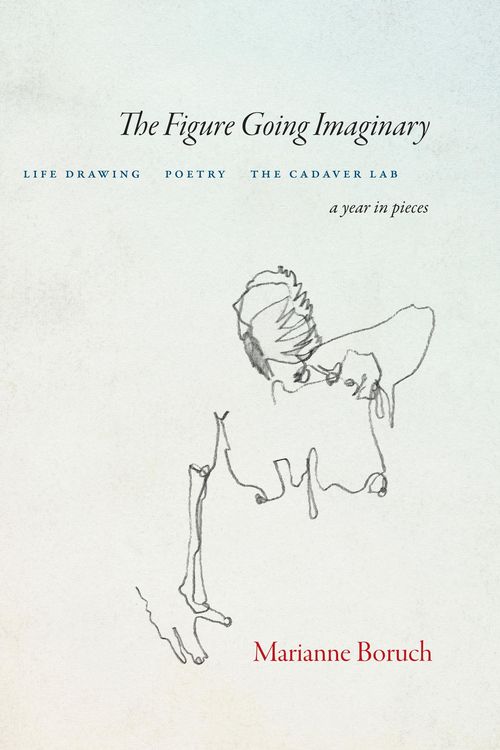 Produktbild: The Figure Going Imaginary