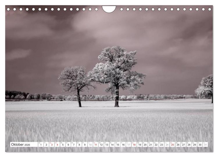 Produktbild: Zauberhafte Infrarot-Fotografie (Wandkalender 2026 DIN A4 quer), CALVENDO Monatskalender