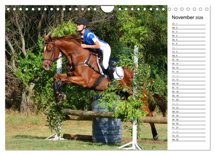 Produktbild: Mein Reitsport Kalender (Wandkalender 2026 DIN A4 quer), CALVENDO Monatskalender