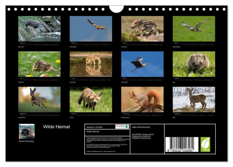 Produktbild: Wilde Heimat (Wandkalender 2026 DIN A4 quer), CALVENDO Monatskalender