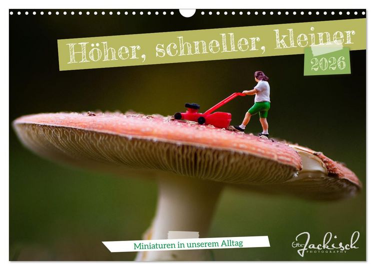 Produktbild: H&ouml;her, schneller, kleiner - Miniaturen in unserem Alltag (Wandkalender 2026 DIN A3 quer), CALVENDO Monatskalender