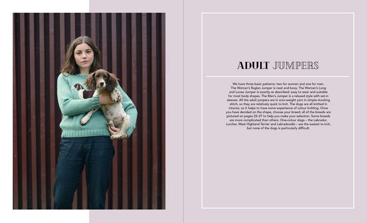 Produktbild: Dogs on Jumpers