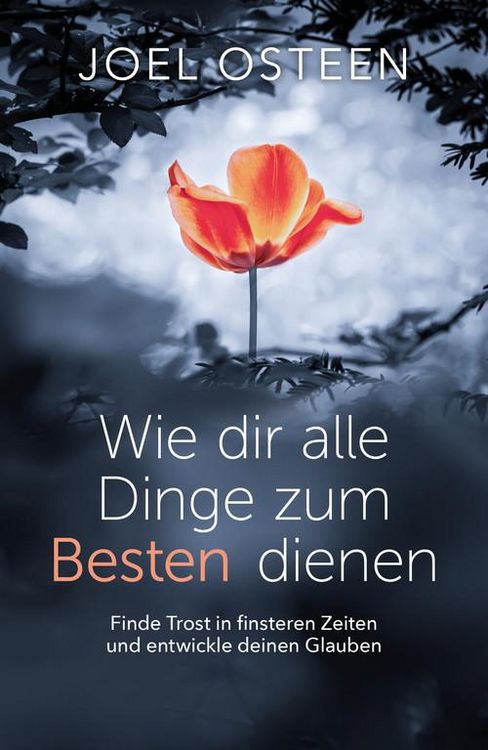 Produktbild: Wie dir alle Dinge zum Besten dienen