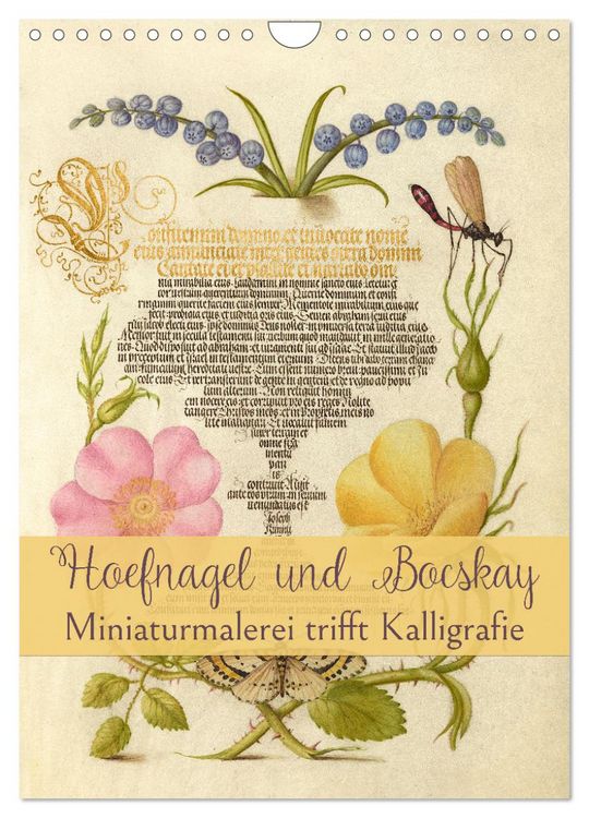 Produktbild: Hoefnagel und Bocskay - Miniaturmalerei trifft Kalligrafie (Wandkalender 2026 DIN A4 hoch), CALVENDO Monatskalender