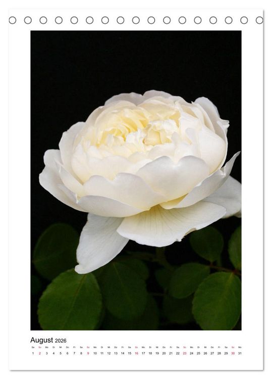 Produktbild: Poesie wei&szlig;er Bl&uuml;ten (Tischkalender 2026 DIN A5 hoch), CALVENDO Monatskalender